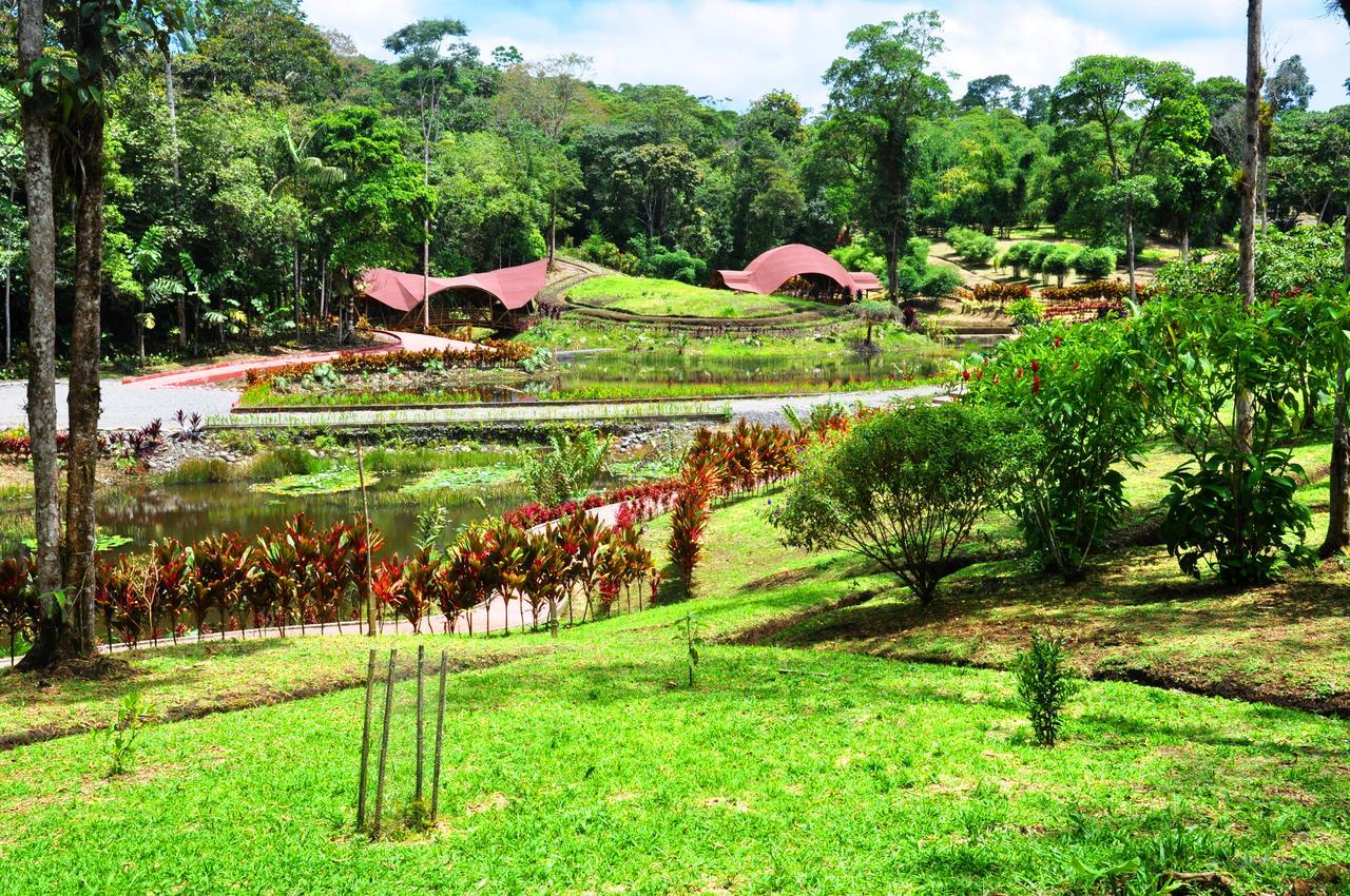 Hosteria Finca El Pigual Puyo Kültér fotó